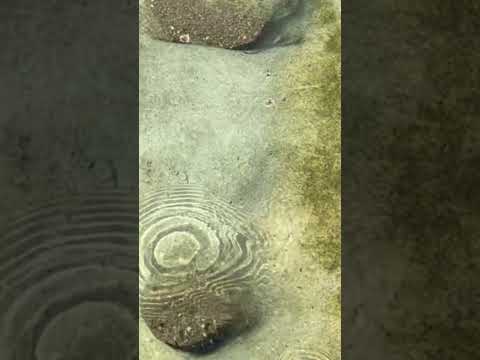 Las piedras del mar de San José
