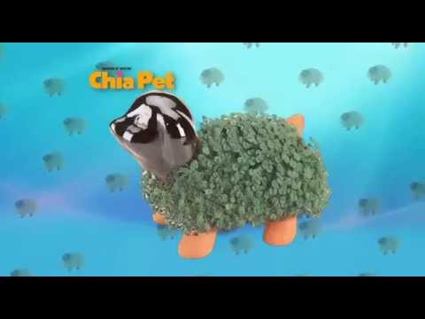 2014 Chia Pet Tv Spot