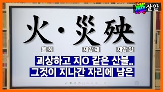 재앙이란 무엇인가.. 괴물 산불이 지나간 자리에 남은 것.. 잔골과 슬픔..