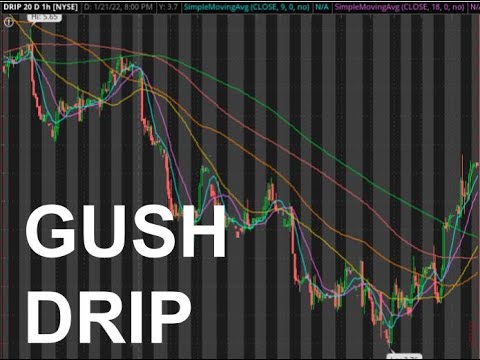 GUSH & DRIP (WTI Crude Oil) for January 22 2022 Technical Analysis and Trade Ideas