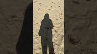 Download lagu SANDY WRE DID YOU GO # SAD mp3 Download lagu SANDY WRE DID YOU GO # SAD mp3