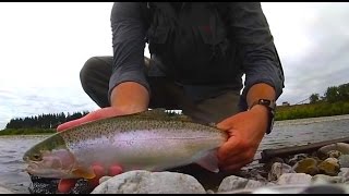 preview picture of video 'Fly Fishing New Zealand - Prospecting the Lower Otaki - Small but rewarding...'