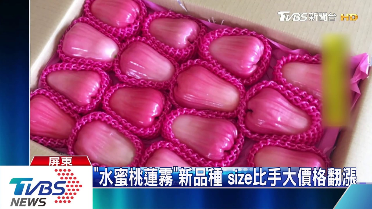 打破水果想像!蓮霧變醬瓜 果農研發2年加工