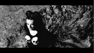 Remix Apocalyptica &amp; Nina HAGEN - Seemann Feat. Sébastien MARTI (Vocal Short Version HD)