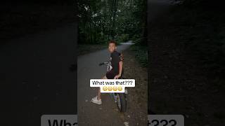 What was THAT in the forest? 😳😳😳