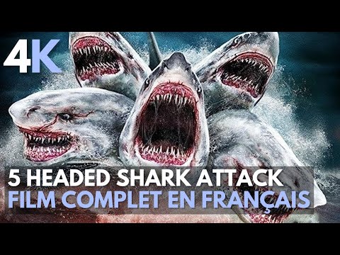5 headed shark attack | Nanar | 4K | Film complet en français