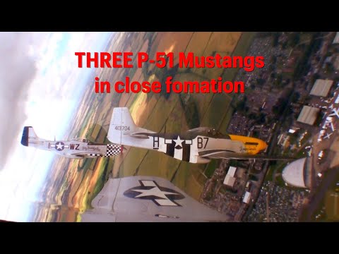 THREE P-51s in CLOSE Formation - Stunning in-cockpit views