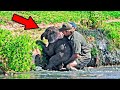 Man Rescues Drowning Baby Elephant, Then The Herd Does Something Unexpected