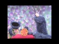 Cookie Monster Letter B