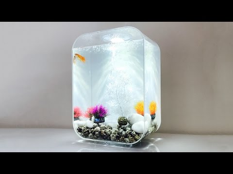 Watch Video on YouTube