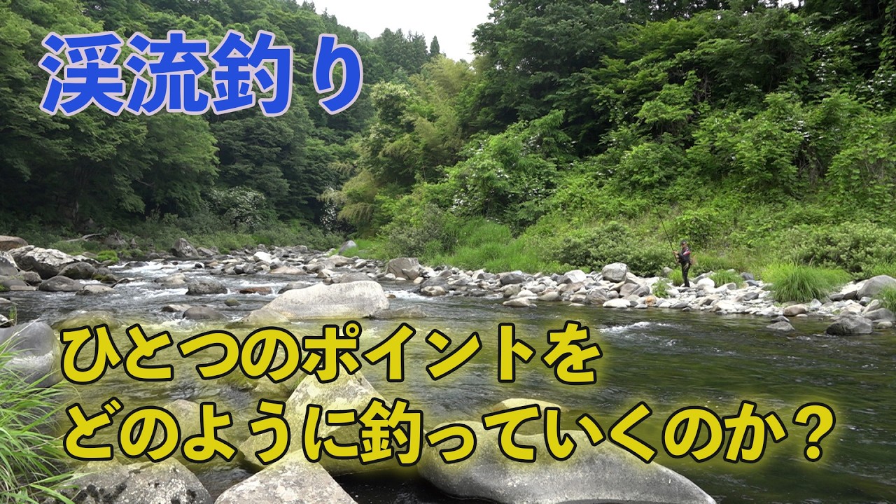 渓流釣り ひとつのポイントをどのように釣っていくのか？