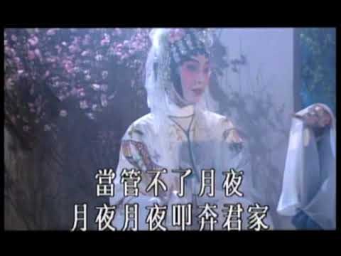 蓋鳴輝、陳詠儀〈牡丹亭驚夢之幽媾〉MV｜娛樂唱片