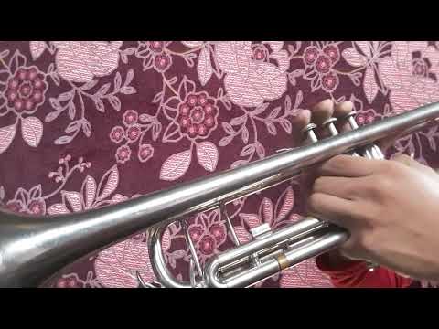 Vaina Loca - Ozuna ft Manuel Turizo EN TROMPETA