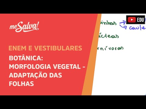 Me Salva! BOT42 - Botânica - Morfologia vegetal: adaptações das folhas