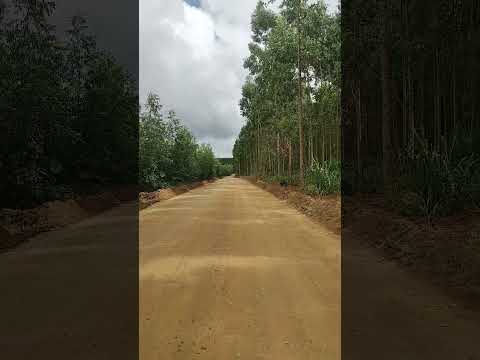 #shorts . passando na  estrada em Cachoeira do mato Bahia
