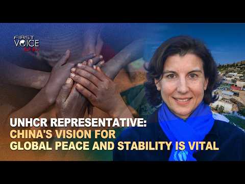 UNHCR representative: China's vision for global peace, stability is vital