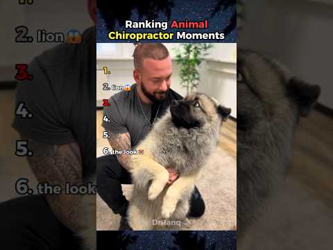 Best ANIMAL Chiropractor Moments😱 Part 3
