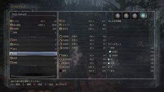 【初見プレイ】女狩人のへっぽこ実況4【Bloodborne】