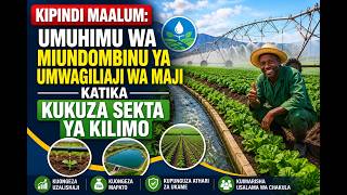 KIPINDI MAALUM: UMUHIMU WA MIUNDOMBINU YA UMWAGILIAJI WA MAJI KATIKA KUKUZA SEKTA YA KILIMO