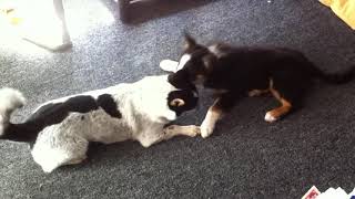 Princess &amp; Sonny