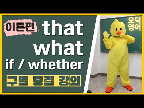 that VS what 종결 강의 (if, whether 같이 해결)