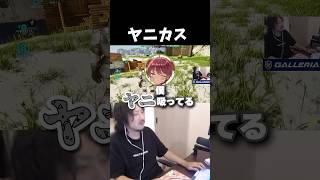 ヤニカス #おなつ休みARK #けっつん #日向まる #ark