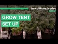 how to set up the vivosun 4x4 grow tent 2021