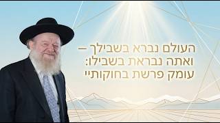 העולם נברא בשבילך — ואתה נבראת בשבילו: עומק פרשת בחוקותיי | הרב יוסף צ. בן פורת