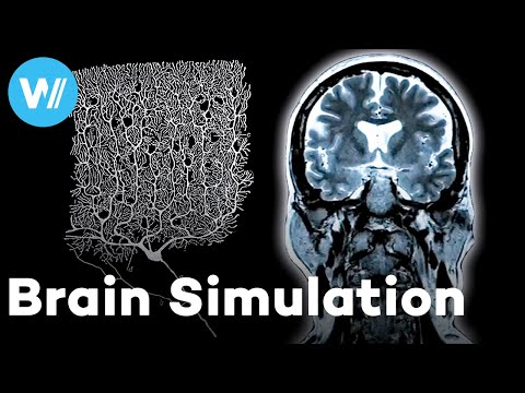 Mapping the Human Brain: Can Machines digitize the Mind? | In Silico (Documentary, 2020)
