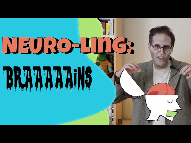 Exploring the Intricacies of Language Processing in the Brain | Magica