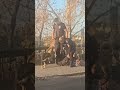 AVELLANEDA HERÓICO ACCIONAR DE MUJER POLICÍA
