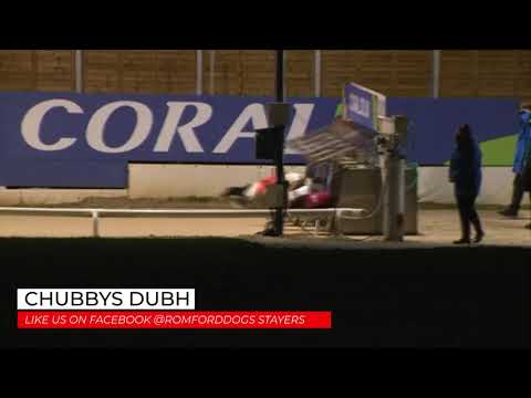Chubbys Dubh - LIKE US ON FACEBOOK @ROMFORDDOGS STAYERS