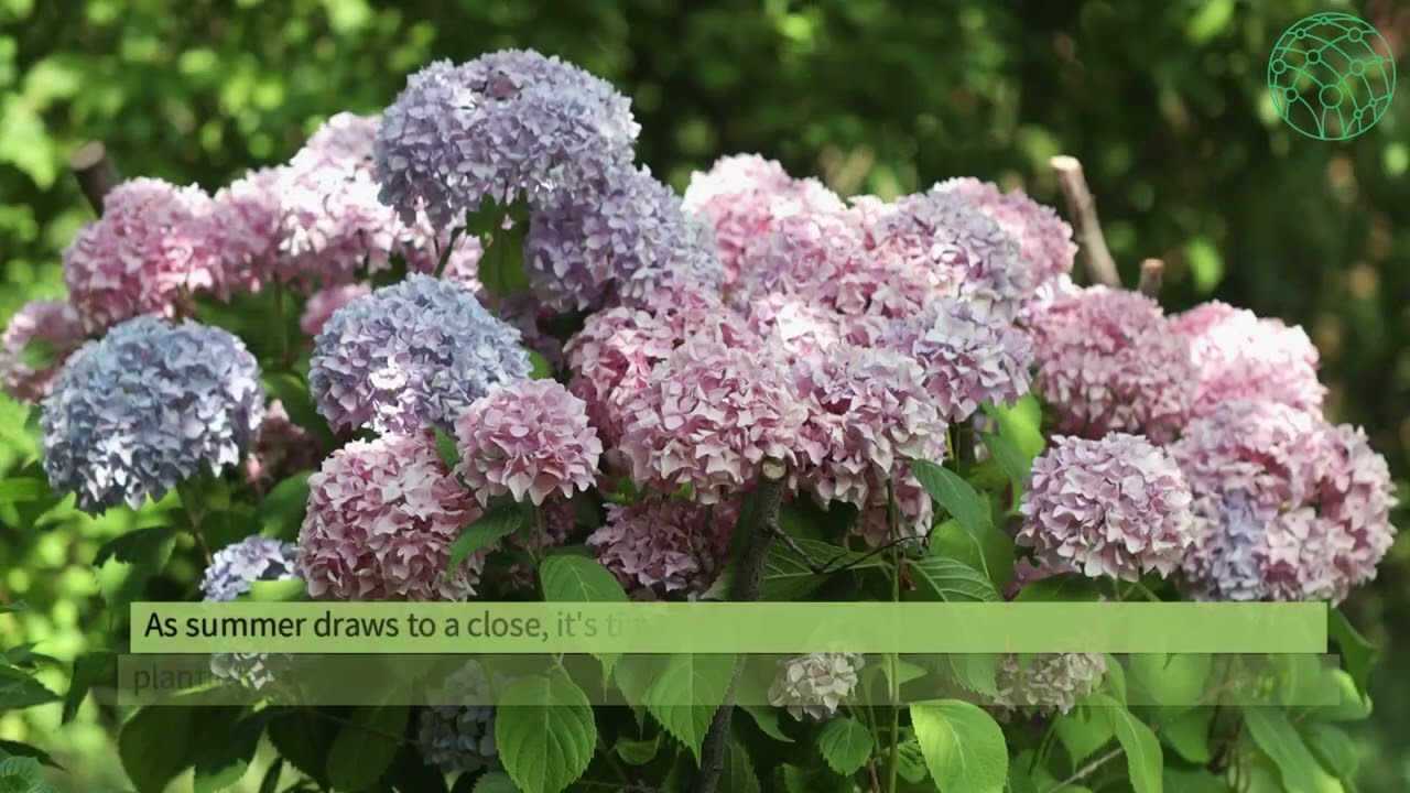 Enjoy and Maintain Your Garden Throughout the Seasons