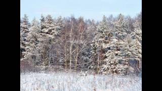 Carola Smit &amp; Danny Malando-White Christmas