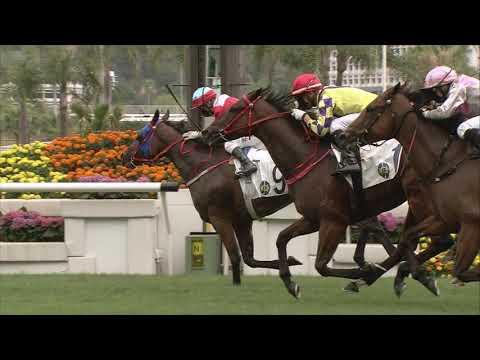 25/4/2021 (615) War Of Courage - Matthew Chadwick