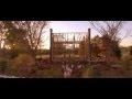 Fallen Flowers (Złamane Kwiaty) - Steve McDonald ...