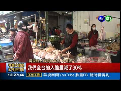 雞肉.老薑狂漲 1鍋麻油雞500