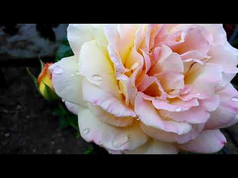 ПРИРОДА ПРЕКРАСНА)))))))