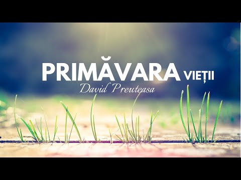 David Preuteasa - Primavara Vietii (Audio 2021)
