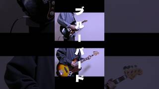 【shorts】ブルーバード/いきものがかり 弾いてみた！ #ギター #弾いてみた #ベース #ブルーバード
