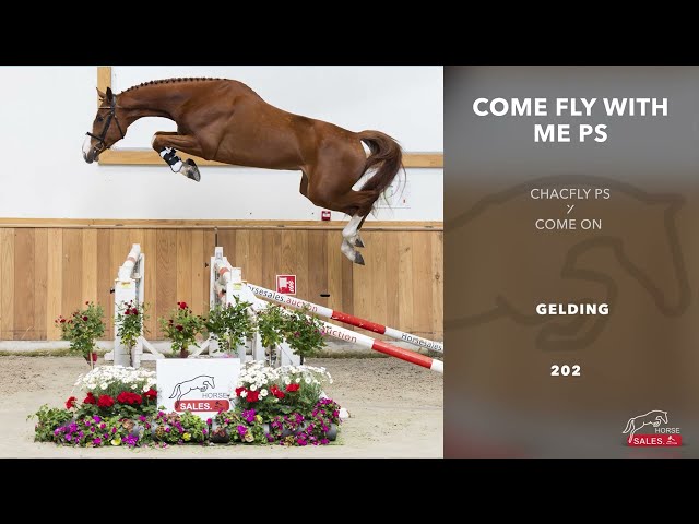 Come Fly With Me PS