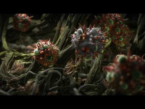 How it works:  Concrobium Mold Control