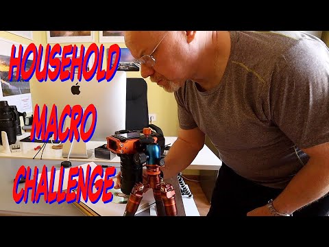 Household Macro Photography Challenge