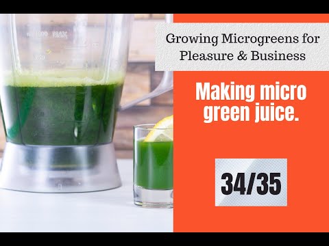 Microgreens Juice | 34/35 | Growing Microgreens In Hydroponics