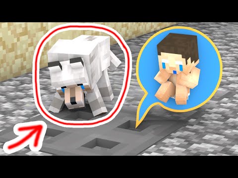BABY HEROBRINE and DOG - Sad Story - Minecraft Animation