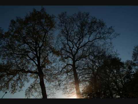 Marco goes The Kooks - Kids(2) Normale Umgebung (cover!) und die Natur