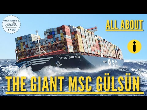 MSC Gülsün / One of the biggest container ships in the world