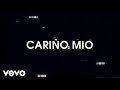 RBD - Cariño Mío