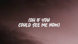 The Script - If You Could See Me Now (Lyrics)