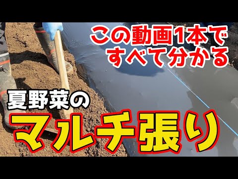 春になったら古いマルチを取り除いたほうがいいでしょうか？ 「はい」の場合、いつですか?  庭園